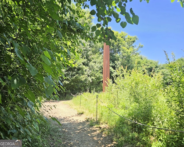 747 Ralph Mcgill Blvd NE Unit 223, Atlanta, GA 30312 - view of wooded area
