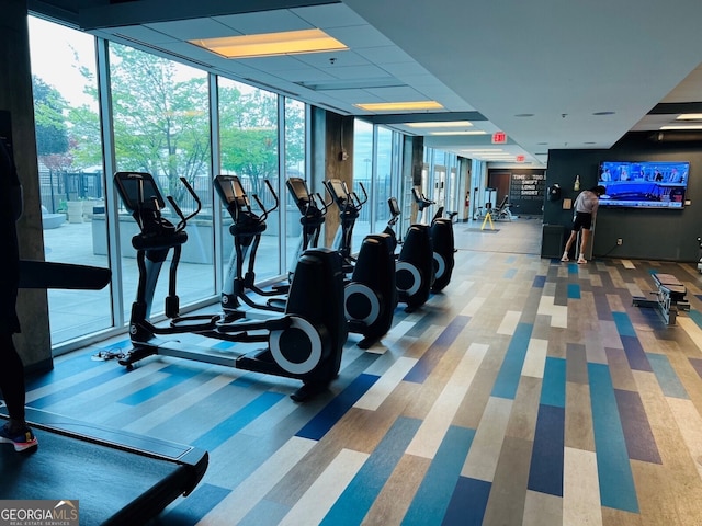 workout area featuring expansive windows and carpet flooring
