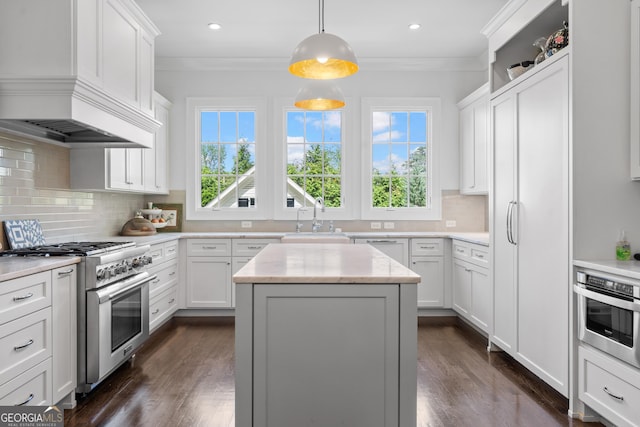 1116 Dan Johnson Rd NE, Atlanta, GA 30307 - kitchen featuring a healthy amount of sunlight, custom exhaust hood, appliances with stainless steel finishes, and a sink