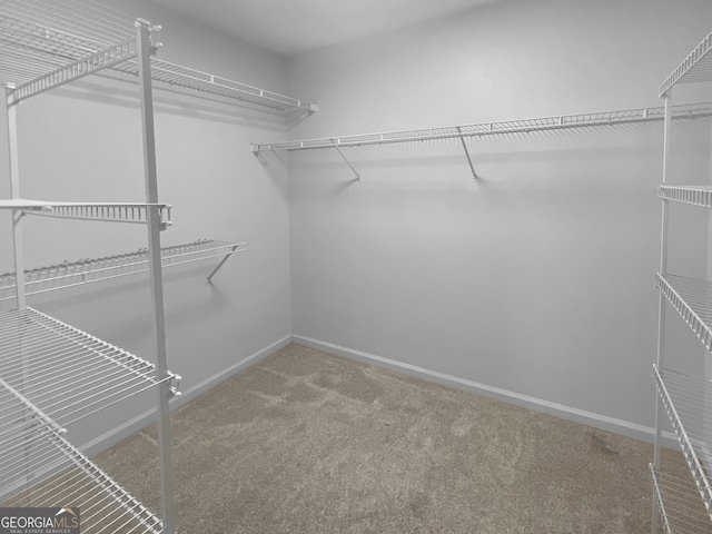 spacious closet with carpet