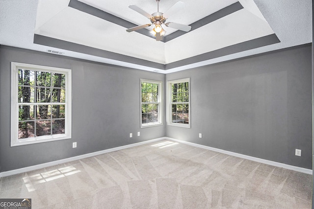 432 Tanner Farm Dr, Rockmart, GA 30153 - empty room featuring a tray ceiling, healthy amount of natural light, baseboards, and carpet