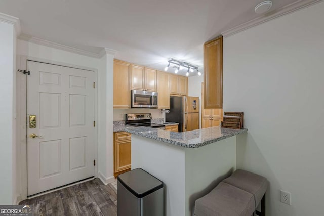 3203 Lenox Rd NE Unit 32, Atlanta, GA 30324 - kitchen featuring appliances with stainless steel finishes, dark wood finished floors, a peninsula, and light stone countertops
