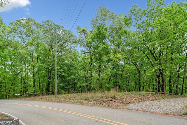 2022 Pleasant Union Rd, Canton, GA 30114