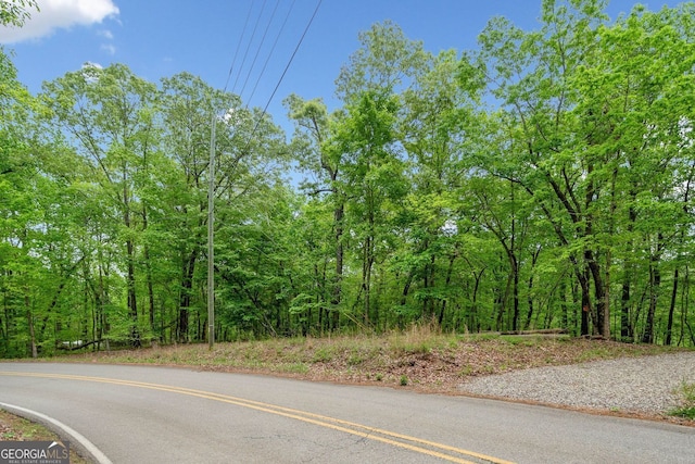 2022 Pleasant Union Rd, Canton, GA 30114