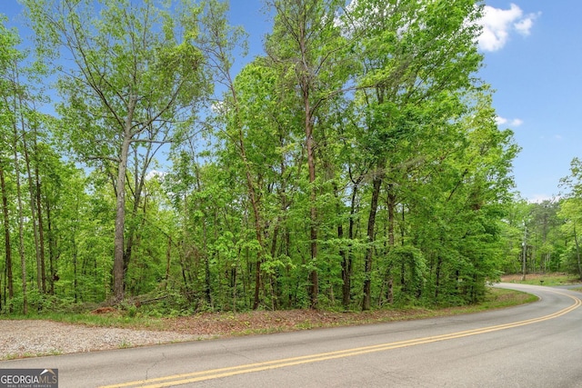 2022 Pleasant Union Rd, Canton, GA 30114