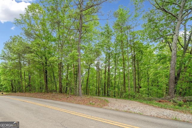 2022 Pleasant Union Rd, Canton, GA 30114