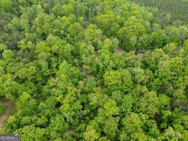 2022 Pleasant Union Rd, Canton, GA 30114