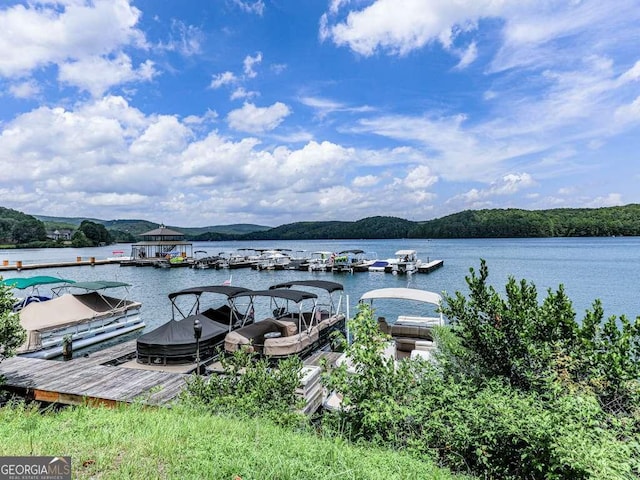 view of dock with a water view