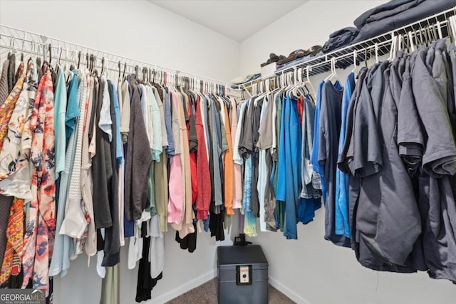 111 N Palmer St, Springfield, GA 31329 - spacious closet featuring carpet flooring