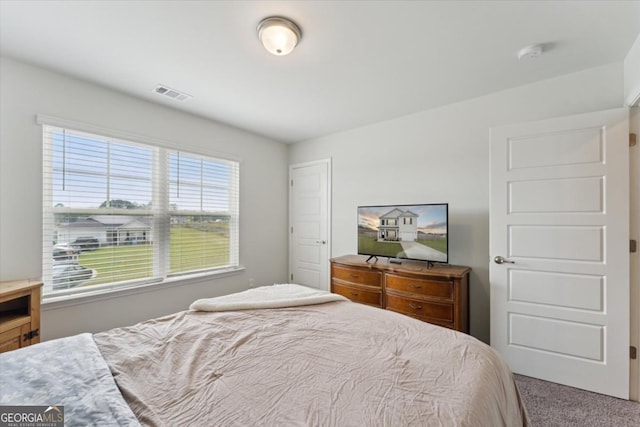 111 N Palmer St, Springfield, GA 31329 - bedroom with carpet flooring and visible vents