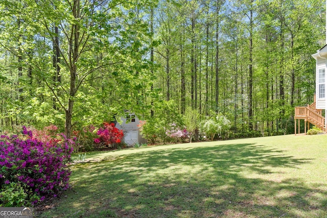 view of yard