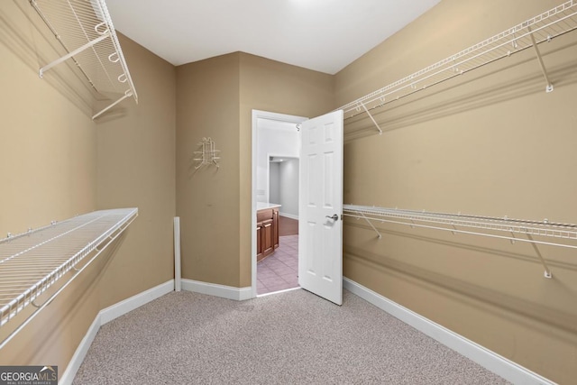 spare room featuring a raised ceiling, wood finished floors, and crown molding