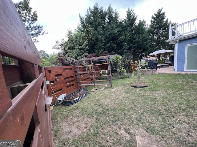 view of yard featuring a patio area