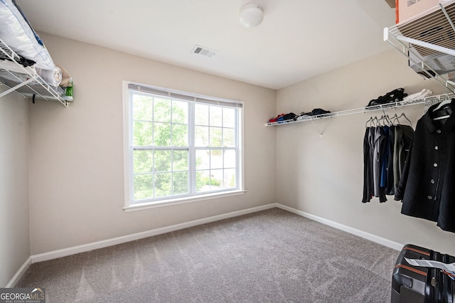 67 Ryans Pt, Dallas, GA 30132 - spacious closet featuring visible vents and carpet