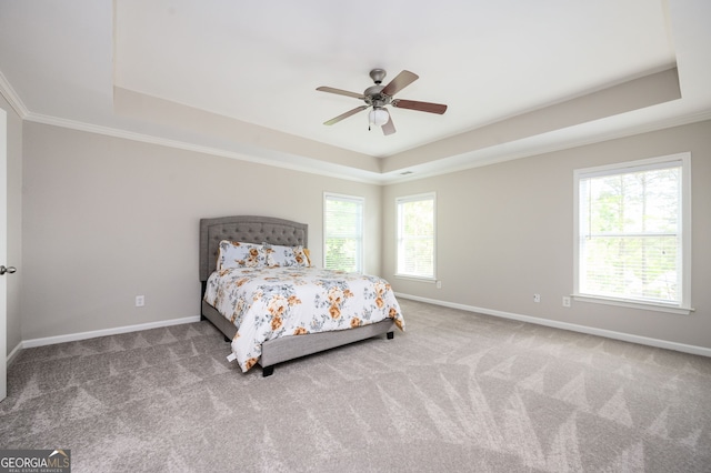 67 Ryans Pt, Dallas, GA 30132 - carpeted bedroom with baseboards, multiple windows, and a tray ceiling