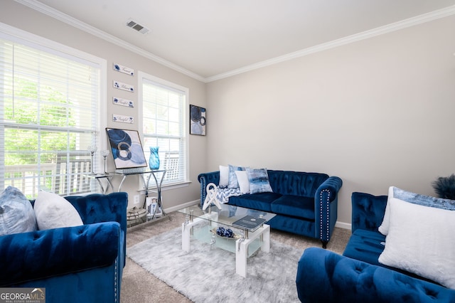 67 Ryans Pt, Dallas, GA 30132 - living room with baseboards, visible vents, carpet floors, and ornamental molding