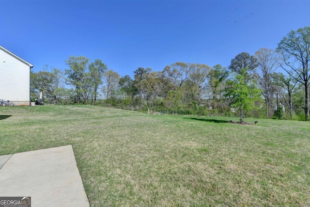 5530 Bower Pl, Cumming, GA 30028 - view of yard