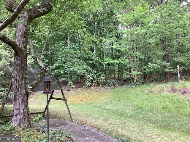10 Horseshoe Bend Rd SW, Rome, GA 30165 - view of yard with a forest view