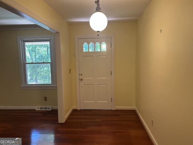 10 Horseshoe Bend Rd SW, Rome, GA 30165 - entrance foyer with a wealth of natural light, visible vents, dark wood-style flooring, and baseboards