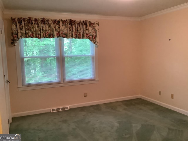 10 Horseshoe Bend Rd SW, Rome, GA 30165 - spare room with a healthy amount of sunlight, ornamental molding, baseboards, and visible vents