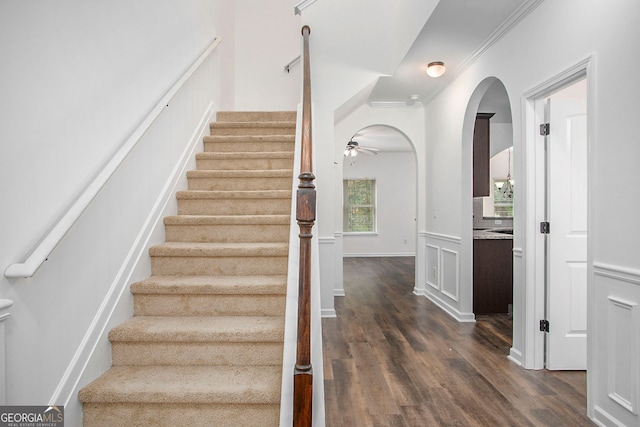 stairway with arched walkways, ceiling fan, crown molding, wainscoting, and wood finished floors