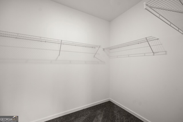 1536 Bluff Valley Cir, Gainesville, GA 30504 - walk in closet featuring dark colored carpet