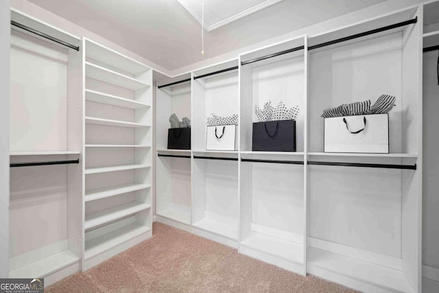 spacious closet with attic access and carpet floors