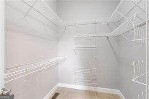 view of walk in closet