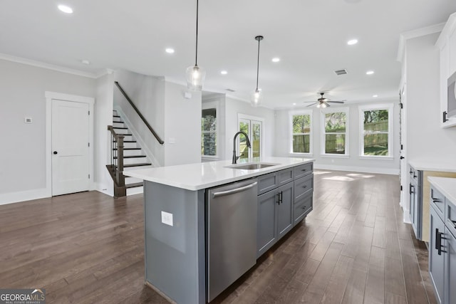 kitchen with a sink, stainless steel dishwasher, gray cabinetry, and dark wood-type flooring