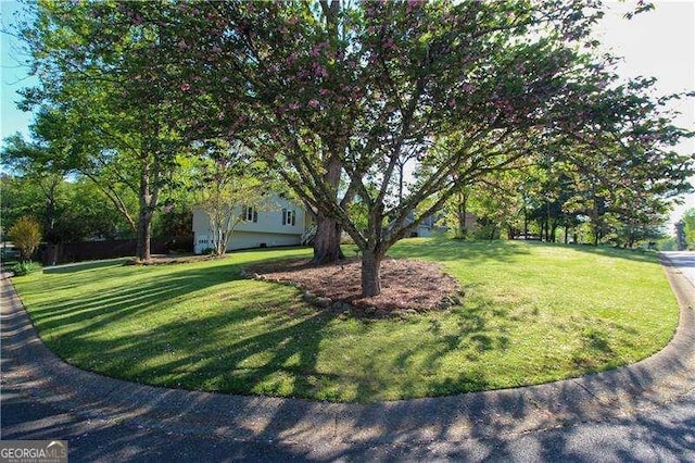 view of yard