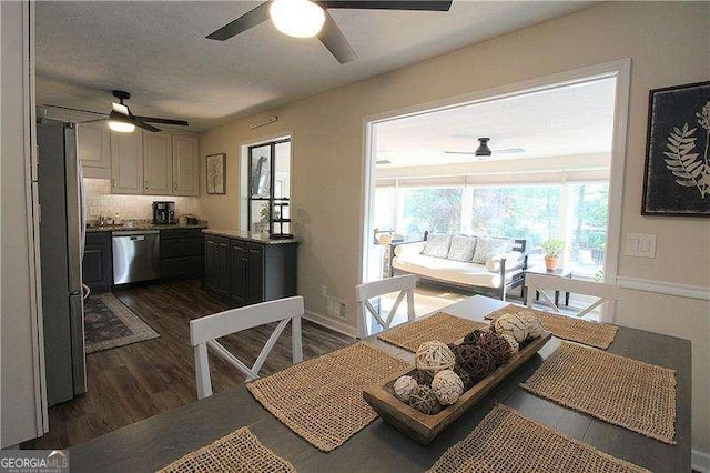 kitchen featuring a ceiling fan, appliances with stainless steel finishes, and dark wood-type flooring