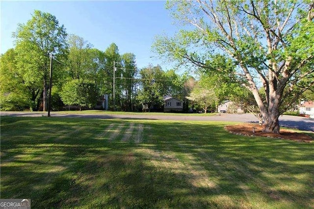 view of home's community featuring a yard