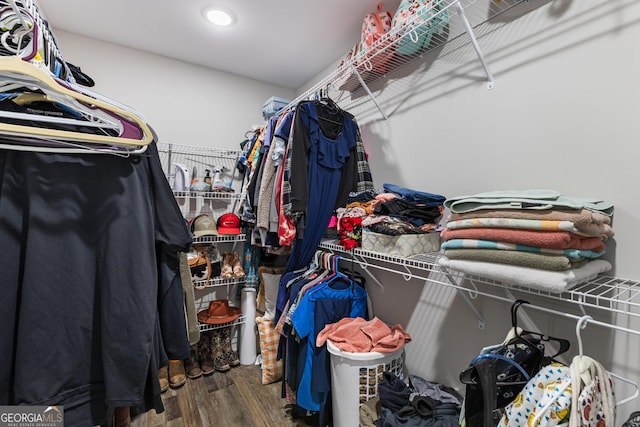 walk in closet featuring wood finished floors