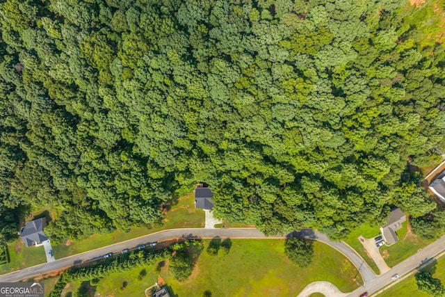 bird's eye view