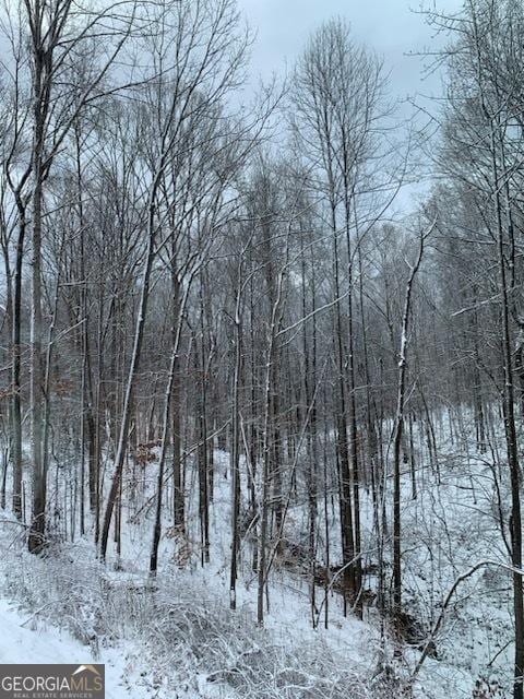 snowy landscape featuring a view of trees