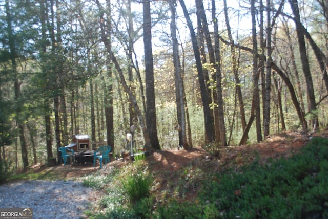 249 Spruce Creek Rd, Lakemont, GA 30552 - view of tree filled area