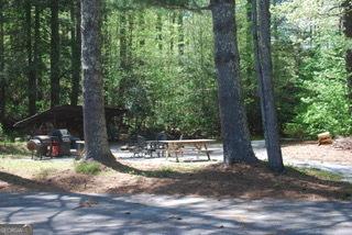 249 Spruce Creek Rd, Lakemont, GA 30552 - view of community featuring a forest view