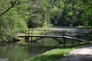 249 Spruce Creek Rd, Lakemont, GA 30552 - dock area with a water view and a forest view