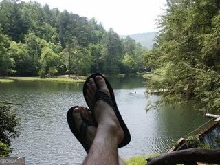 249 Spruce Creek Rd, Lakemont, GA 30552 - water view with a heavily wooded area