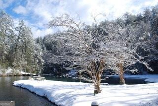 249 Spruce Creek Rd, Lakemont, GA 30552 - view of yard