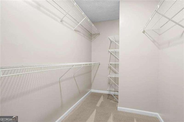 spacious closet with carpet floors
