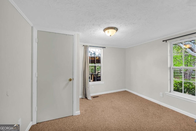7310 Pea Ridge Pl, Gainesville, GA 30506 - spare room featuring a textured ceiling, baseboards, and carpet floors