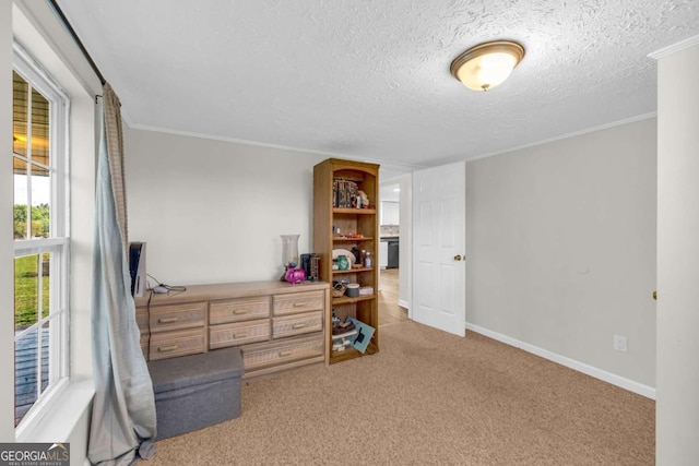 7310 Pea Ridge Pl, Gainesville, GA 30506 - carpeted bedroom featuring crown molding, a textured ceiling, and baseboards