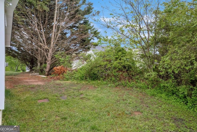 7310 Pea Ridge Pl, Gainesville, GA 30506 - view of yard