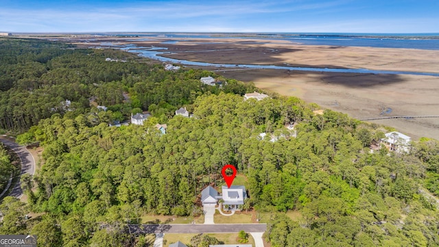 105 Whispering Oaks Ln, Saint Marys, GA 31558 - birds eye view of property featuring a wooded view
