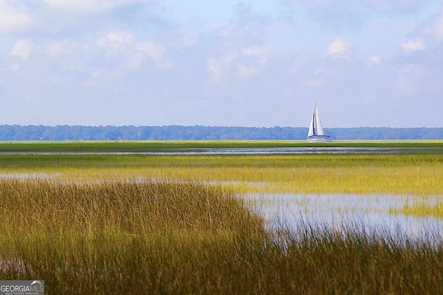 105 Whispering Oaks Ln, Saint Marys, GA 31558 - view of water feature