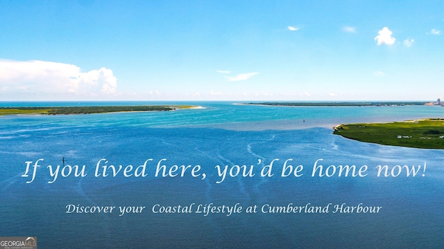 105 Whispering Oaks Ln, Saint Marys, GA 31558 - water view