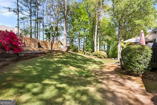 561 Valleyside Dr, Dallas, GA 30157 - view of yard