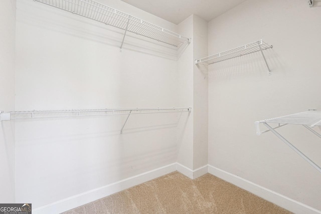 walk in closet with carpet