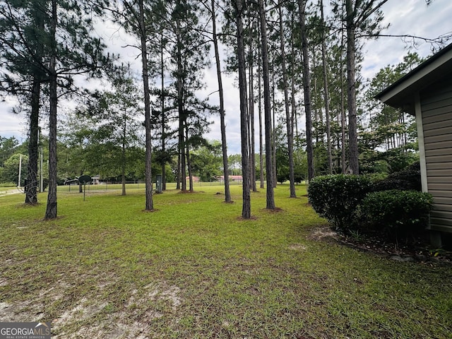 80 Hill Farm Rd, Alamo, GA 30411 - view of green lawn